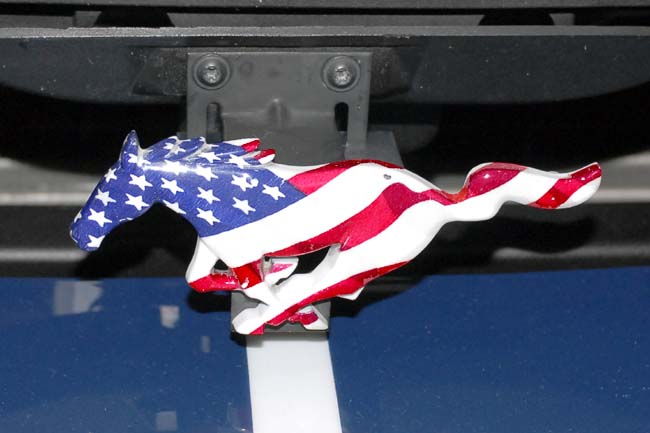 An interesting treatment of a Mustang grill emblem