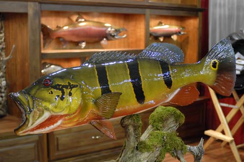 A mounted fish