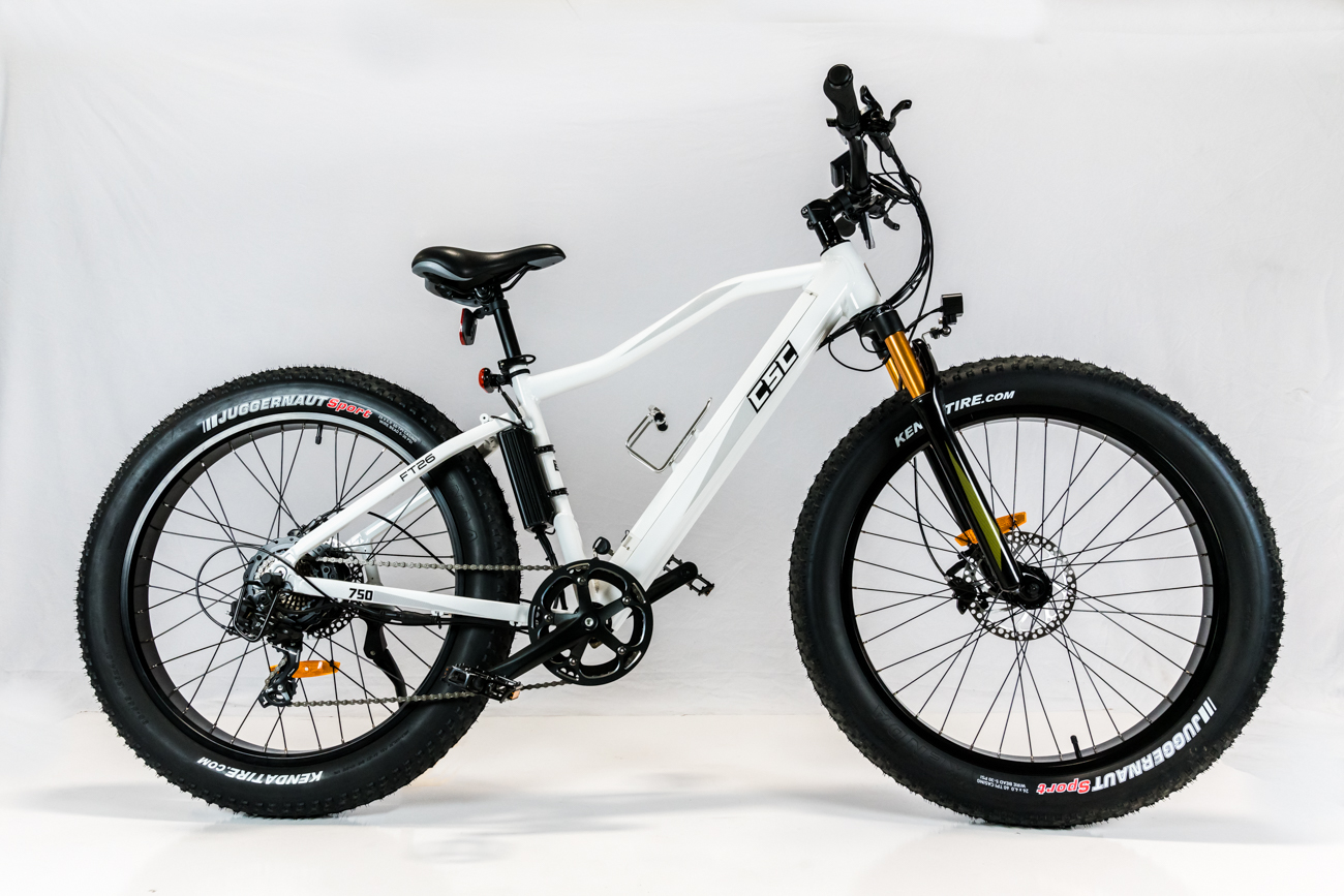 750 watt ebike