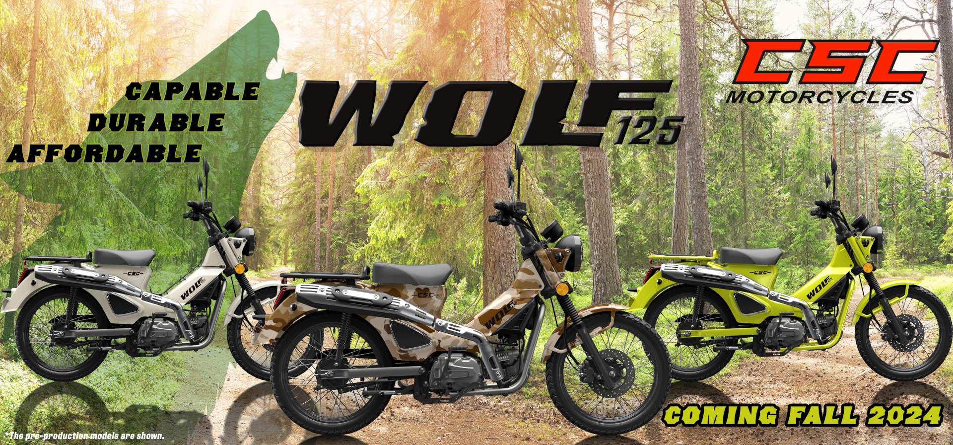 Arriving Fall of 2024... The 2025 Wolf 125 - CSC Blog